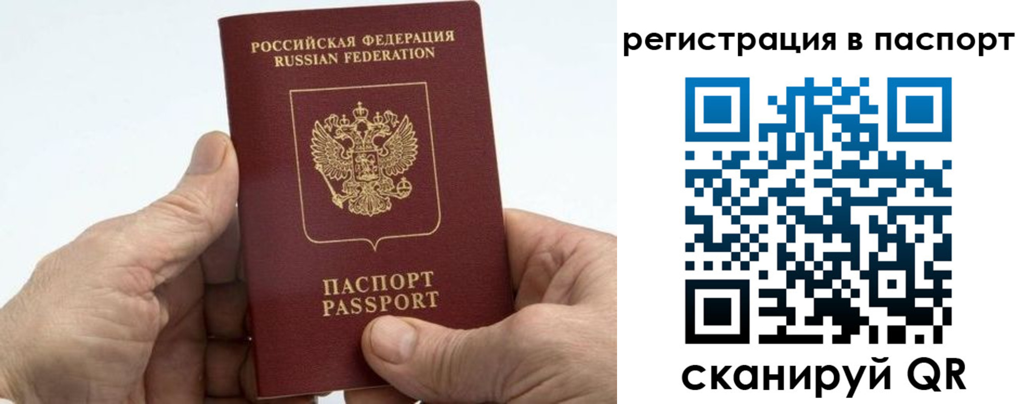 купить прописку в Борзе